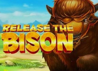 release the bison megaways